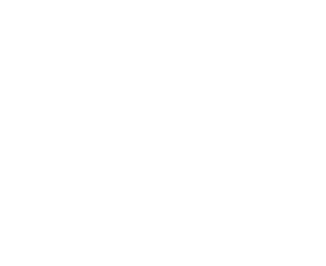 UDI-BLANC